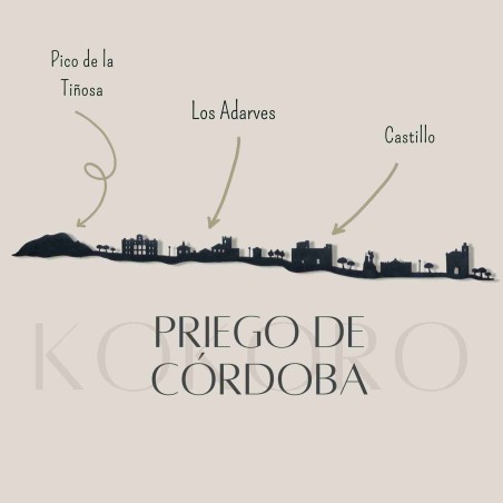 Skyline de Priego de Córdoba para decoración de paredes con material reciclado