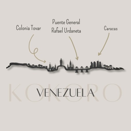Skyline de Venezuela 3d hecho con materiales reciclados. Decoración pared, regalo original